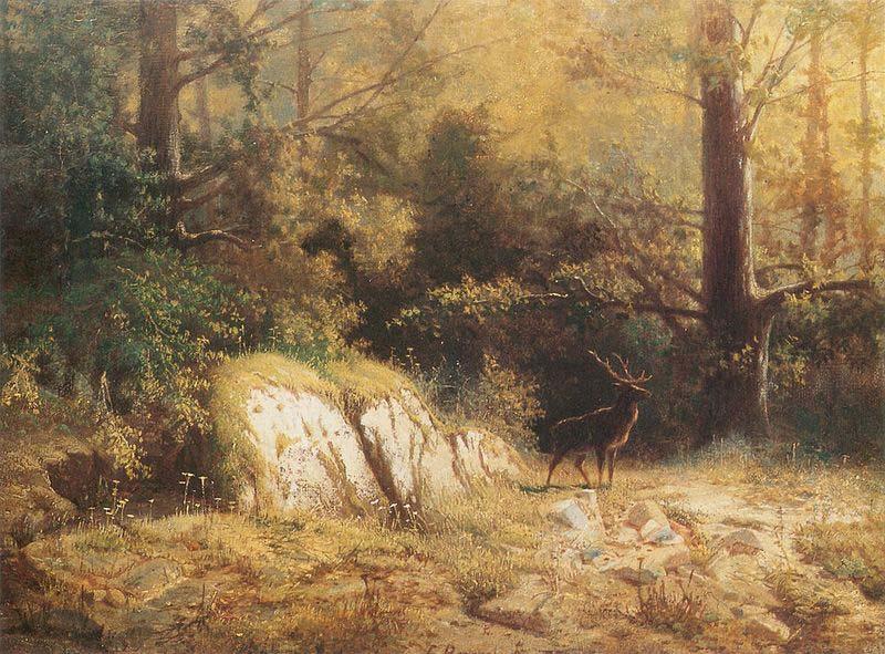 unknow artist Forest landscape with a deer. oil painting picture